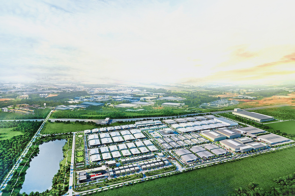 Serenidad Co., Ltd de la puesta del sol de Chongqing